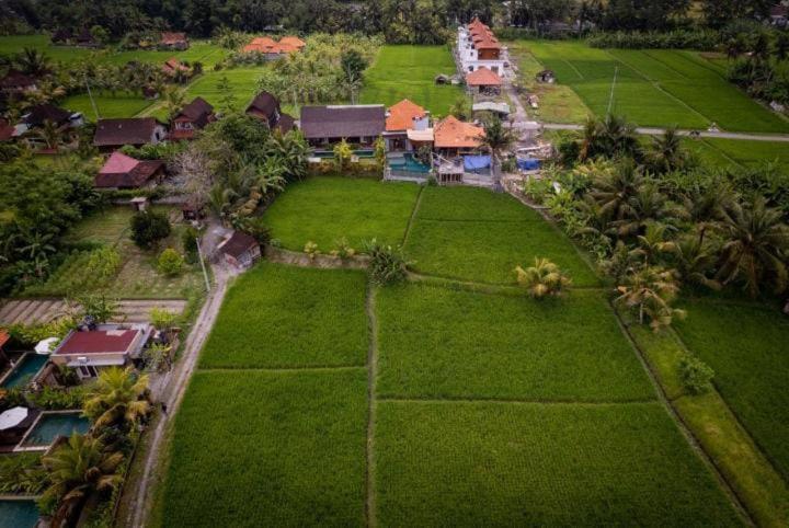 Uma Jala Villa Ubud Zewnętrze zdjęcie