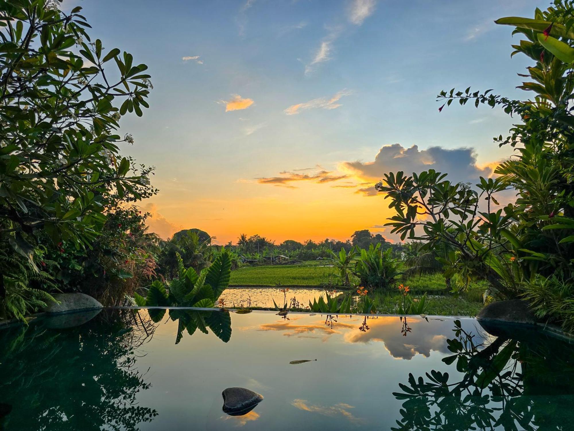 Uma Jala Villa Ubud Zewnętrze zdjęcie